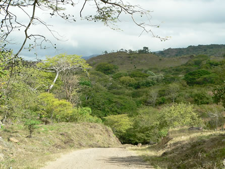 Nikaraagua - järsk langus
