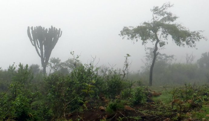 Ngorongoro hommikune panoraam