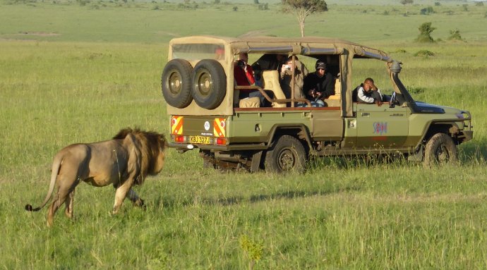Lõvi-Maasai Mara