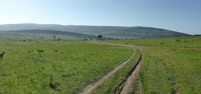 Maasai Mara maastik