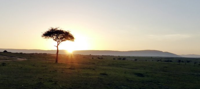 päikesetõus Maasai maras
